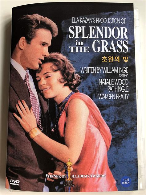 what is splendor in the grass about